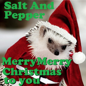 Merry Merry Christmas to you