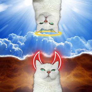 spooky scary skeletons