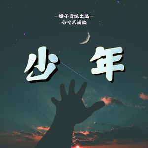 少年
