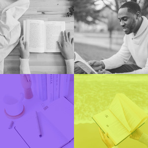 一尘不染长篇小说印象数