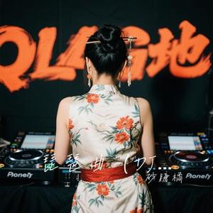 琵琶曲 (DJ版)
