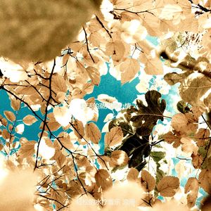 一尘不染水疗护理印象数