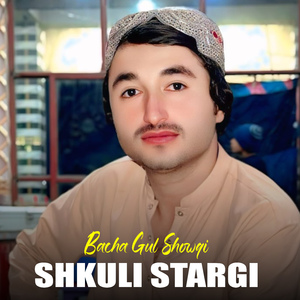 Shkuli Stargi