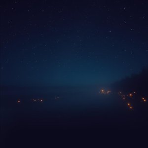 Shadows on the Bayou