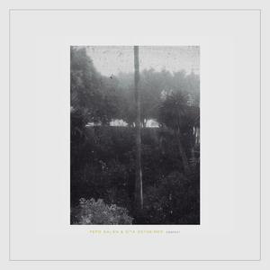 Wolf (feat. Sita Ostheimer)