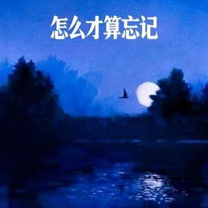 怎么才算忘记 (Cover 施颖婕)