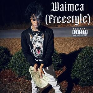 Waimea(Freestyle)