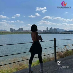 葡萄牙经典口水旋律 (DJ版)