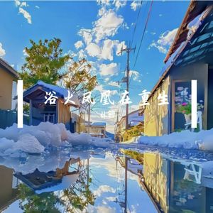 浴火凤凰在重生