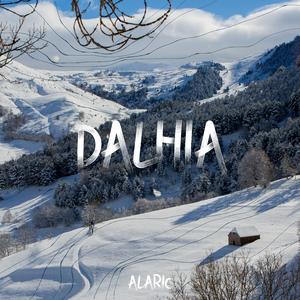 Dahlia - Canon in D