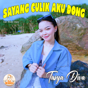 Sayang Culik Aku Dong