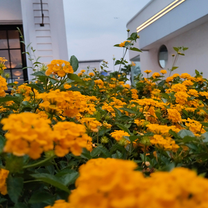 Do You Miss Me at All?