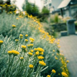 这世界那么多人（Cover：莫文蔚）