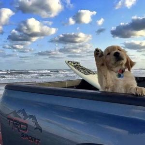 灰姑娘的玻璃鞋