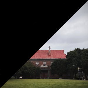 我们的平静，旷野与自由