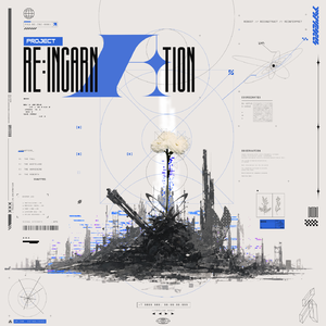 Project Re:incarnation