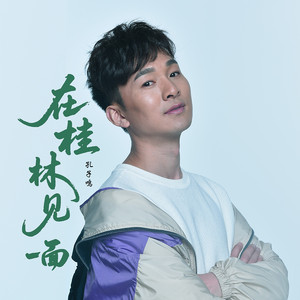 在桂林见一面DJ版伴奏