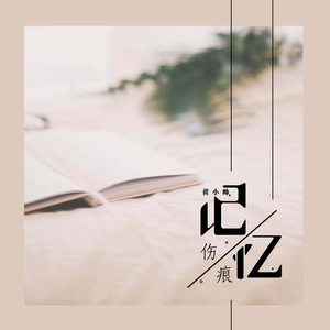 记忆伤痕