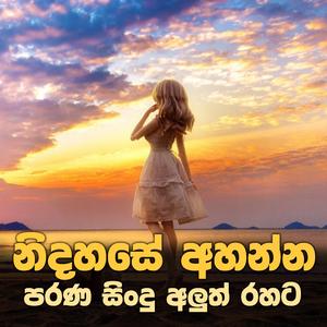 Parana Sindu (Aluth Rahata) | Old Sinhala Songs (Fresh Style Mix)