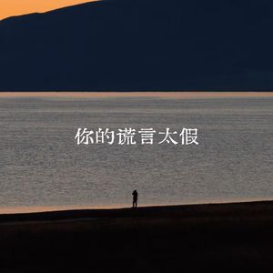 你的谎言太假