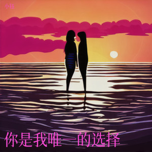 你是我唯一的选择