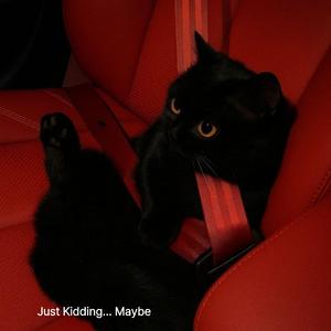 Catching Feelings (Oops)