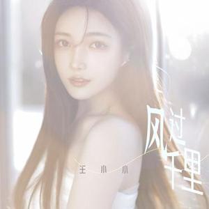 风过千里 (DJ版)
