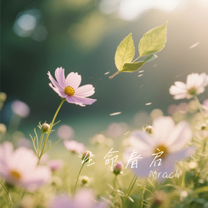 生命春启