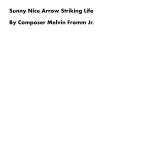 Sunny Nice Arrow Striking Life