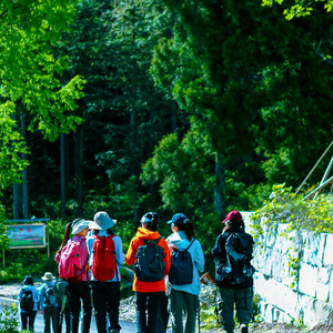 晚霞，清风，十月