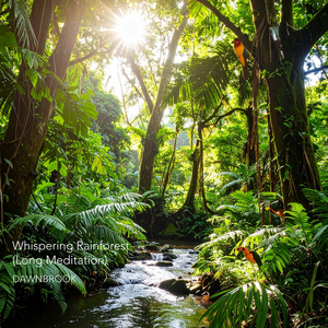 Whispering Rainforest (Long Meditation)