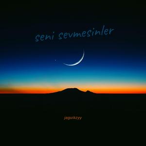 Seni Sevmesinler