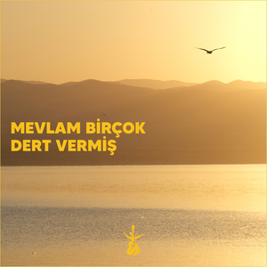 Mevlam Bir Çok Dert Vermiş