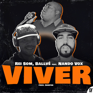 Viver