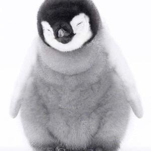 colt.45(原唱：弹壳)