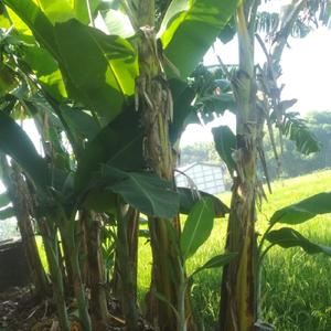 Beautiful Full Moon Night