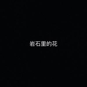 岩石里的花