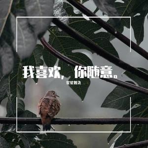 Darling（cover 范晓萱）（翻自 范晓萱）