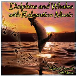 Natural Sounds with Music: Dolphins and Whales with Relaxation Music