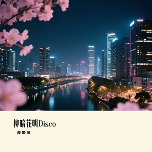 柳暗花明Disco