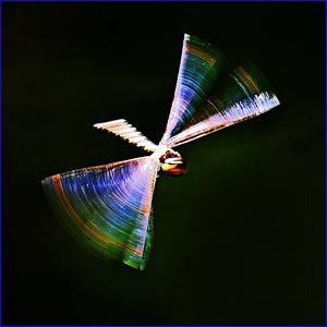 Laumžirgis (Dragonfly)