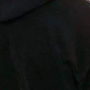 Pale（采样Linkin Park）