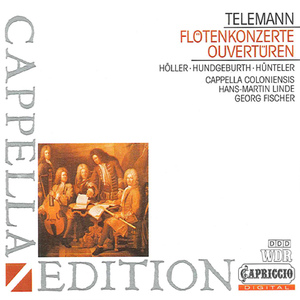 Concerto for Recorder and Flute in E Minor, TWV 52:e1:I. Largo