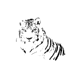 若即若离的飞鸟（Prod by SOULFRESH BEATS）