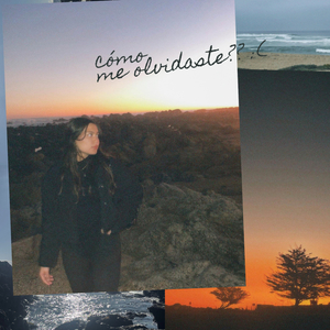 Cómo Me Olvidaste?