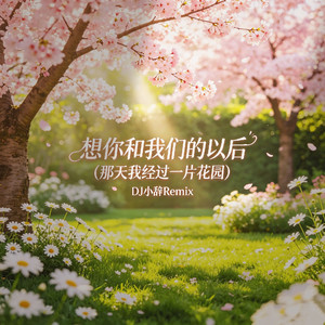想你和我们的以后（DJ小辞Remix版）