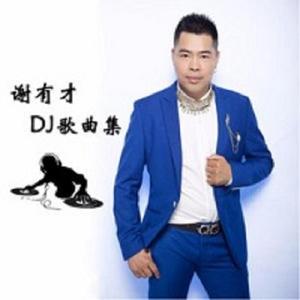 何苦痴情又伤心 (DJ版)