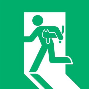 安亓然's For Sure