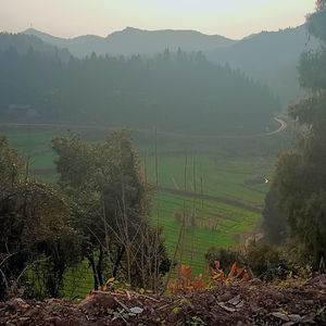 高山流水间的清澈之境