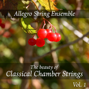 Brandenburg Concerto No. 3 in G Major, BWV 1048: I. Allegro and II. Adagio